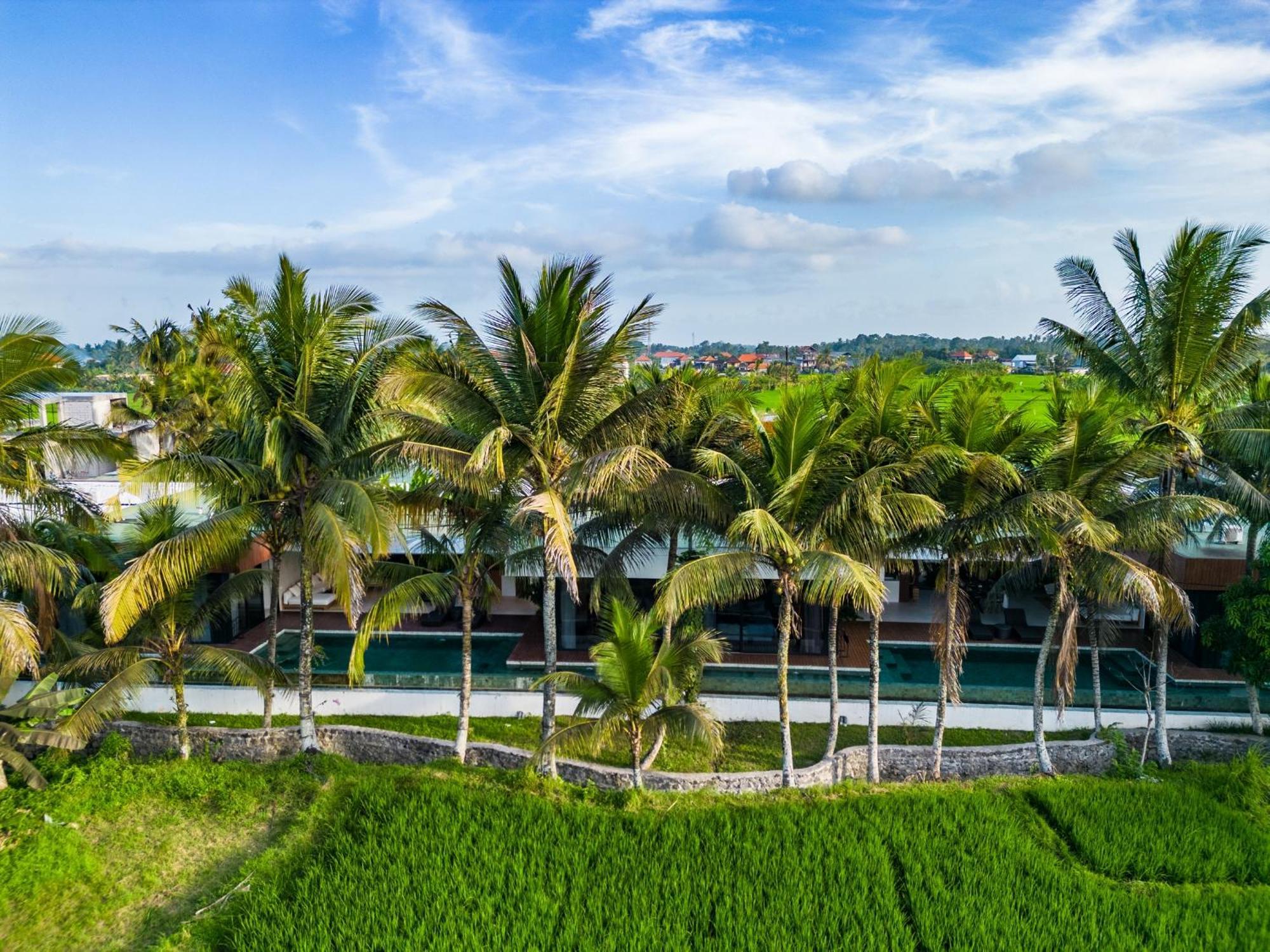 Green Flow Ubud Villa 20 Exteriör bild